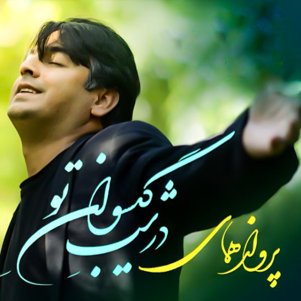 دانلود آهنگ در شب گیسوان تو دانلود آهنگ در شب گیسوان تو